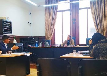 Salta: detienen e imputan por homicidio a una mujer por muerte de una “mula”