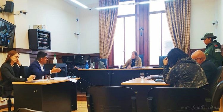 Salta: detienen e imputan por homicidio a una mujer por muerte de una “mula”