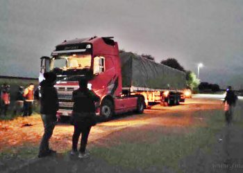 Salta: condena a organización por contrabando de droga proveniente de Bolivia