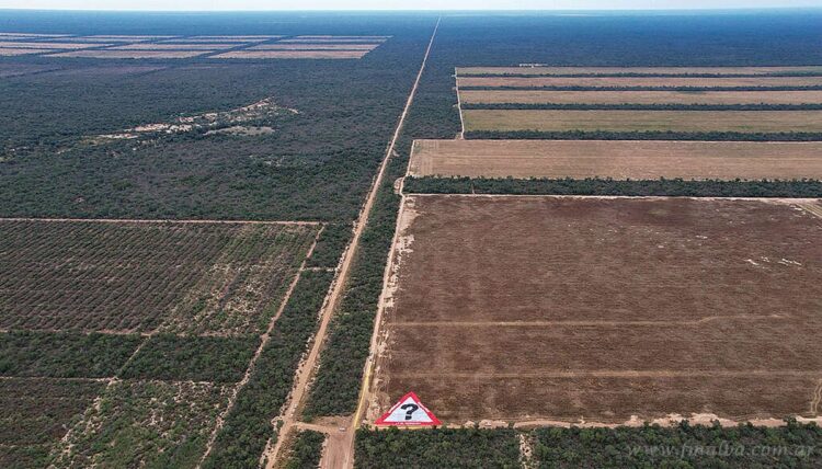 Cautelar por desmonte ilegal: aumento a más de $21.800 millones el embargo preventivo para los hermanos Karlen por incumplimientos