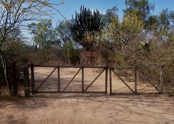 Morillo: jueza Hernández Berni ordenó desalojar a una familia campesina