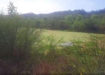 Salvador Mazza: colapsó la planta depuradora