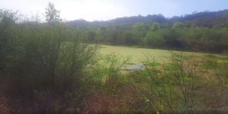 Salvador Mazza: colapsó la planta depuradora