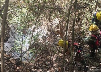 Salvador Mazza: incendio forestal amenaza la planta de gas