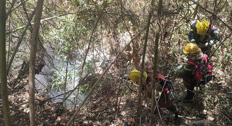 Salvador Mazza: incendio forestal amenaza la planta de gas