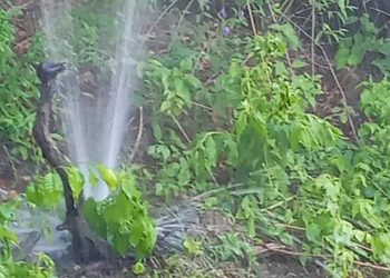 General Mosconi: corte de agua por reparaciones en acueducto  El Aguay