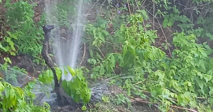 General Mosconi: corte de agua por reparaciones en acueducto  El Aguay