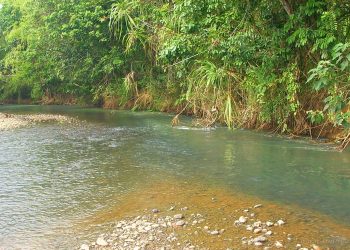 Localidades sin agua a consecuencia de turbiedad en arroyos