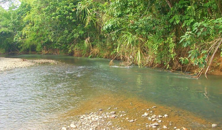 Localidades sin agua a consecuencia de turbiedad en arroyos
