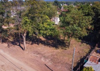 B° Fátima: gran cantidad de roedores en propiedad descuidada