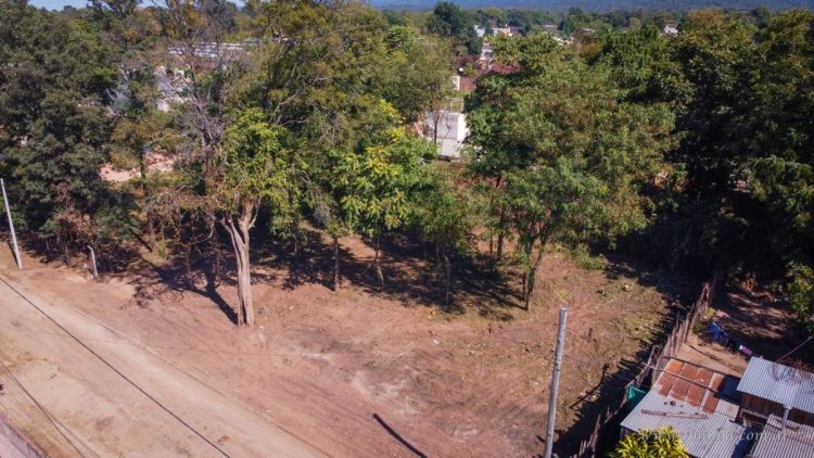 B° Fátima: gran cantidad de roedores en propiedad descuidada