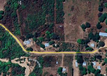 Matadero Municipal: se pavimentará el camino acceso al predio