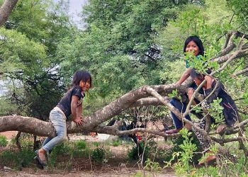 País: DNU prorroga por cuatro años los desalojos de tierras indígenas