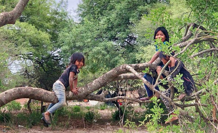 País: DNU prorroga por cuatro años los desalojos de tierras indígenas