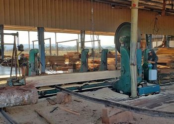 Repro II: abren nuevas inscripciones e integran pagos para empleadas domésticas