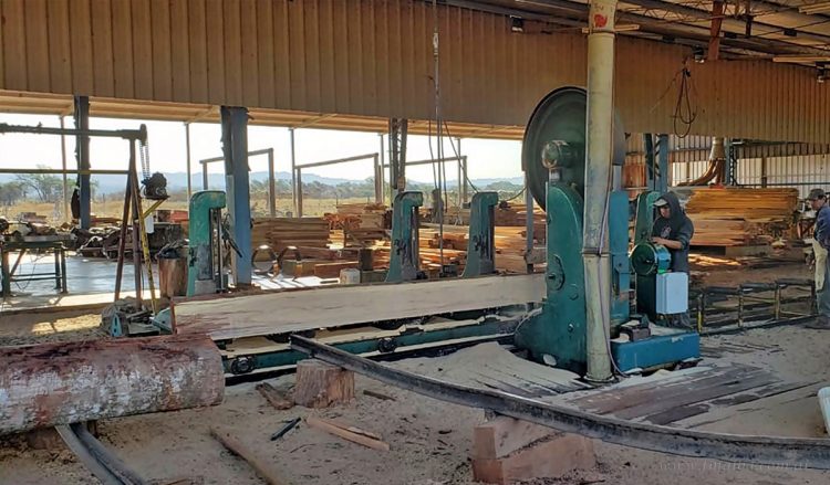 Repro II: abren nuevas inscripciones e integran pagos para empleadas domésticas