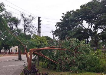 Temporal de viento en madrugada: cortes de energía y agua en varias localidades
