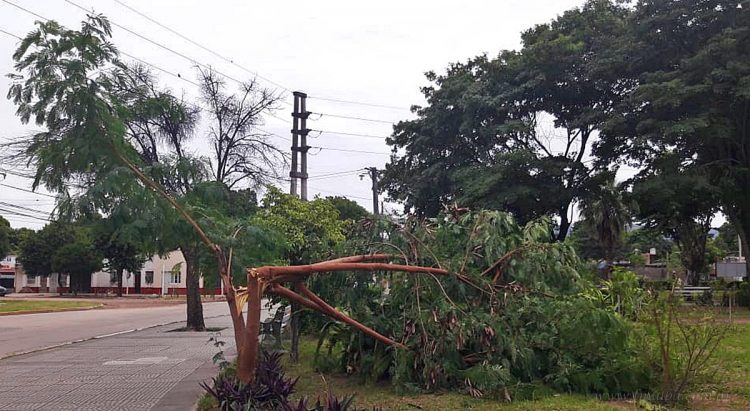 Temporal de viento en madrugada: cortes de energía y agua en varias localidades