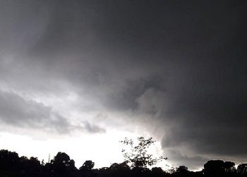 Tartagal: cayeron 173 mm de lluvia ayer domingo