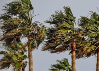 Otoño: se esperan fuertes vientos y ráfagas para la región