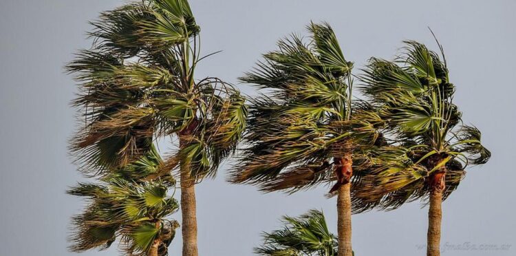 Otoño: se esperan fuertes vientos y ráfagas para la región