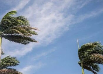 Llegada de la ola polar al norte: recomendaciones de organismos provinciales