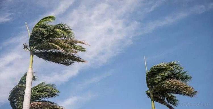 Llegada de la ola polar al norte: recomendaciones de organismos provinciales