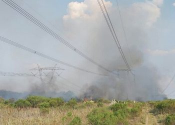 Por incendio de pastizales, Salta y varias provincias quedaron sin luz