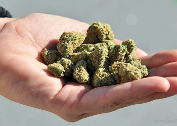 Tartagal: secuestran envío de droga en una encomienda