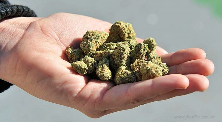 Tartagal: secuestran envío de droga en una encomienda