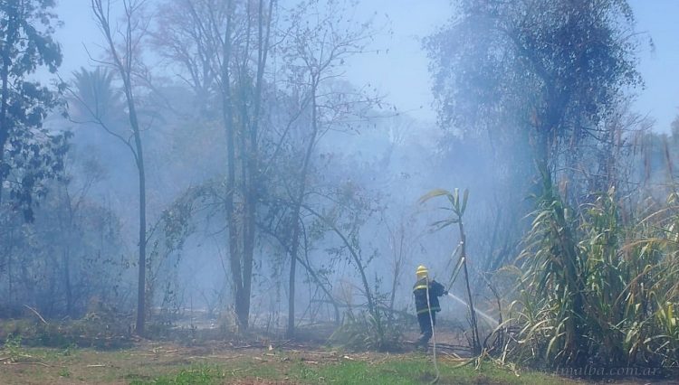 Incendios intencionales hicieron peligrar la Planta Potabilizadora y Zanja Honda