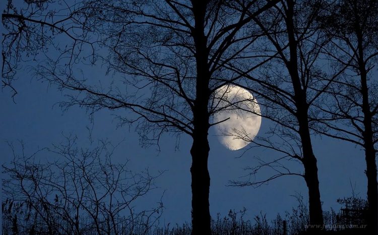 Circuito Sun’s Race: dos mujeres extraviadas y recatadas en madrugada