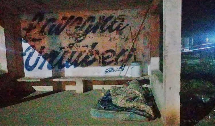 Ruta Nacional 34: denuncias y quejas por usurpación de garitas