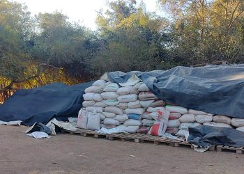 Aguaray: cuatro empleados detenidos por robo de lote de granos