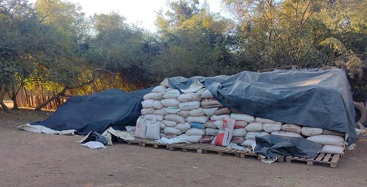 Aguaray: cuatro empleados detenidos por robo de lote de granos