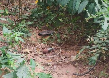 Tartagal: hallaron granada de mano en barrio de zona sur