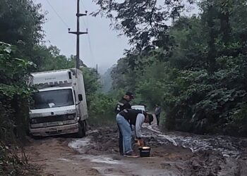 Aguaray: hallan camión robado en Tartagal en un camino alternativo