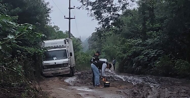 Aguaray: hallan camión robado en Tartagal en un camino alternativo