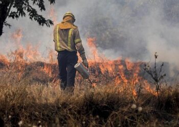 Ruta Nacional 34: humo por quema de pastizales provocó relentización en el tránsito