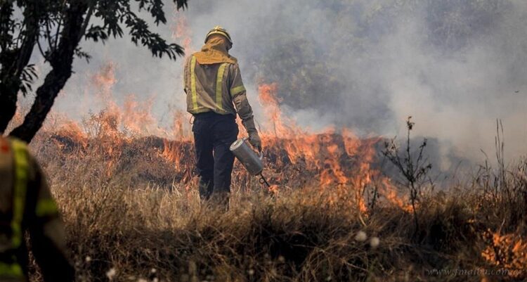 Ruta Nacional 34: humo por quema de pastizales provocó relentización en el tránsito