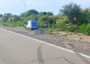 Ruta Nacional 81: dos víctimas fatales en accidente al ingreso de Los Blancos