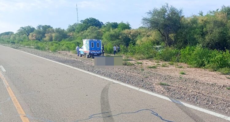 Ruta Nacional 81: dos víctimas fatales en accidente al ingreso de Los Blancos