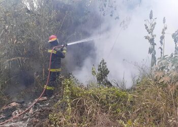 Incendios forestales en El Aguay y Virgen de la Peña