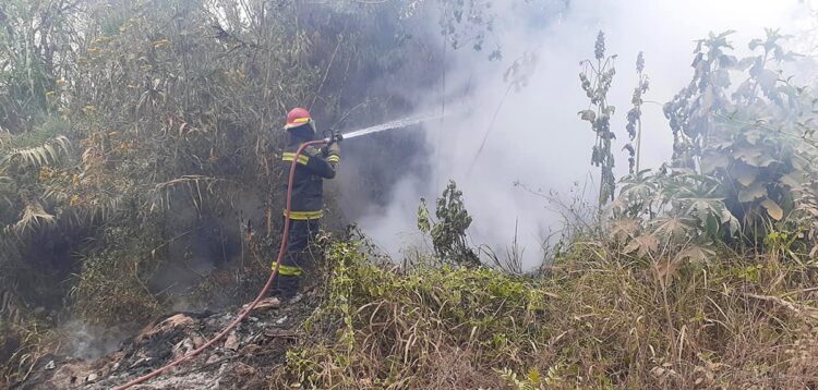 Incendios forestales en El Aguay y Virgen de la Peña