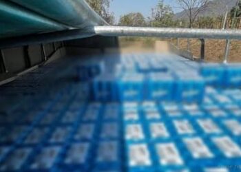 Salvador Mazza: contrabando de granos, asalto y robo frustrado de auto