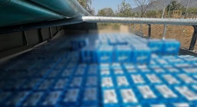 Salvador Mazza: contrabando de granos, asalto y robo frustrado de auto