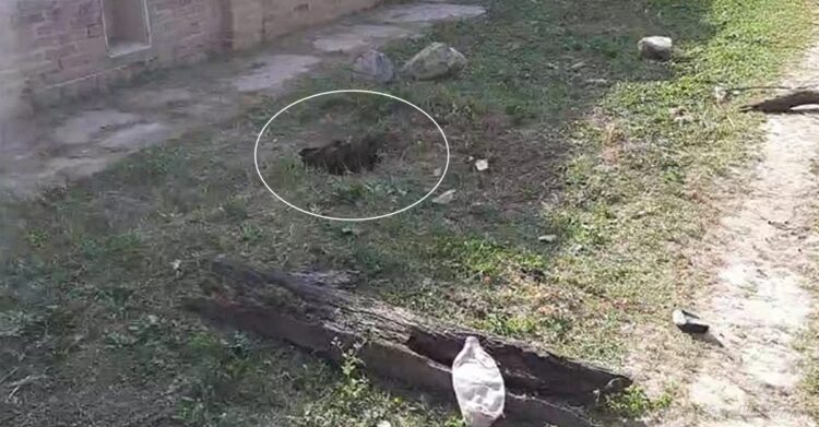 General Mosconi: fallece un niño de dos años al caer en un desagüe