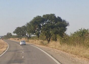 Orán: fue identificado como miembro del Clan Castedo la persona hallada a la vera de la Ruta 5