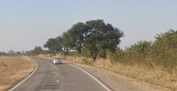 Orán: fue identificado como miembro del Clan Castedo la persona hallada a la vera de la Ruta 5