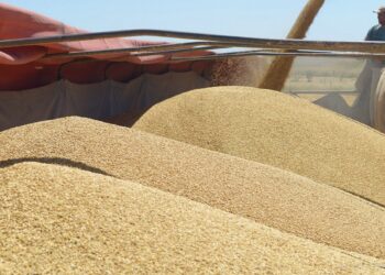 Zanja Honda: camión cerealero perdió parte de su carga de soja